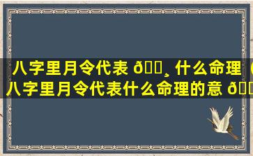 八字里月令代表 🕸 什么命理（八字里月令代表什么命理的意 🌺 思）